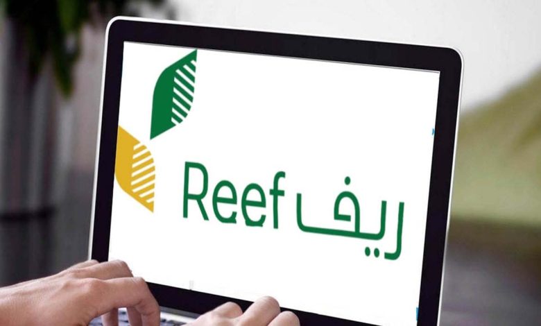 الفئات المستفيدة من دعم ريف في السعودية