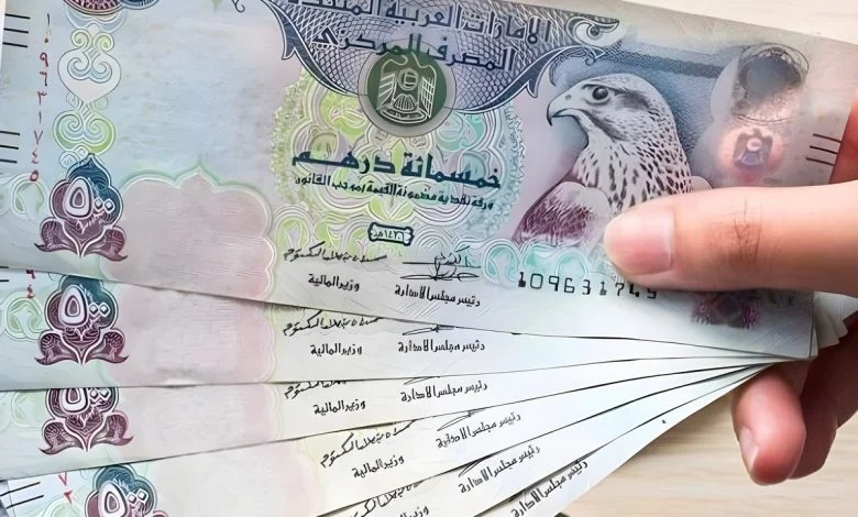 استقرار في سعر الشراء والبيع أمام الجنيه .. تعرف على سعر الدرهم الإماراتي اليوم 14 يناير - موقع منصتك