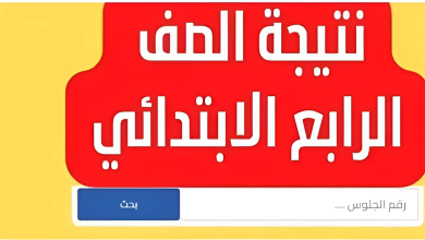 نتيجة الصف الرابع الابتدائي الترم الاول 2025 برقم الجلوس